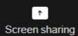 Screen sharing button