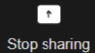 Stop sharing screen button